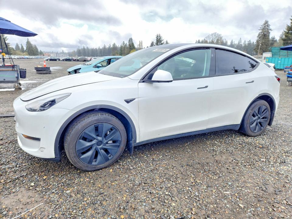 Продаж на аукціоні авто 2024 Tesla Model Y, vin: 7SAYGDEE4RF190459, номер лоту: 49838876