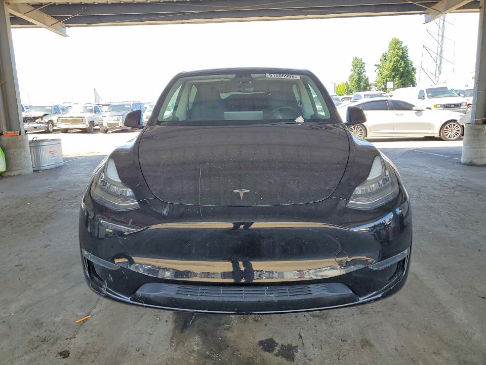 Продаж на аукціоні авто 2023 Tesla Model Y, vin: 7SAYGDEE3PA114614, номер лоту: 51506906