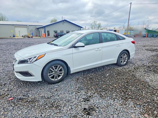 Продаж на аукціоні авто 2016 Hyundai Sonata, vin: 5NPE24AF6GH338011, номер лоту: 49138566