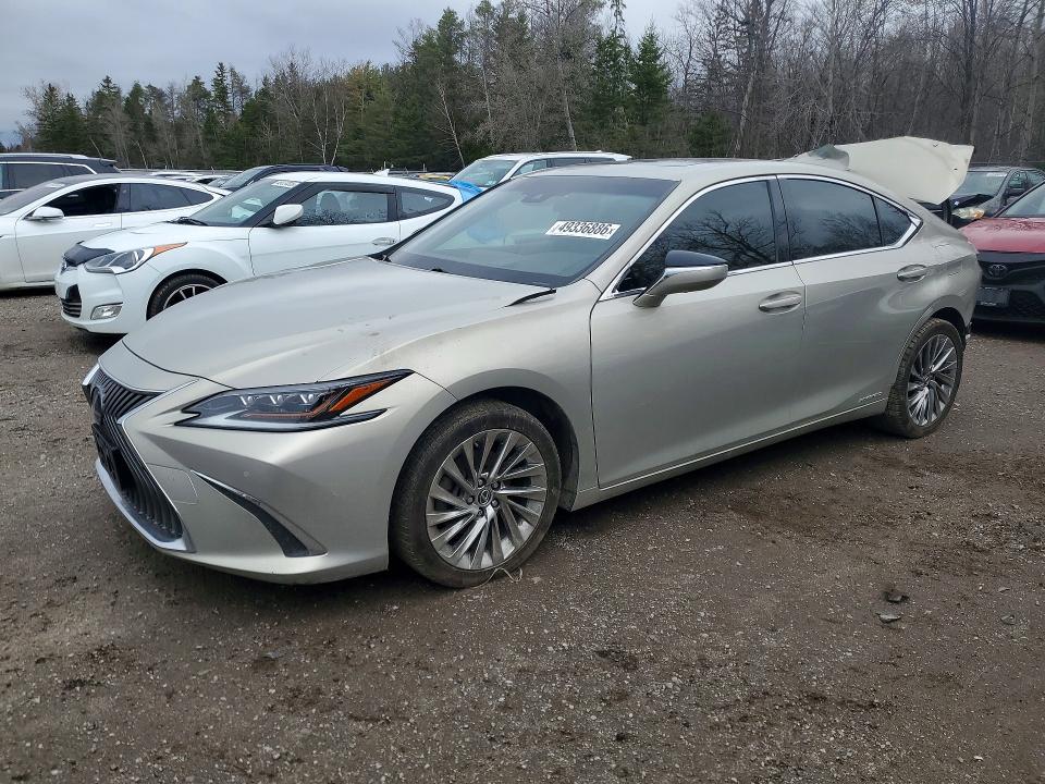 Auction sale of the 2019 Lexus Es, vin: JTHB21B11K2012033, lot number: 49336886