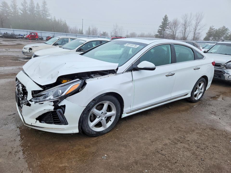 Продажа на аукционе авто 2019 Hyundai Sonata, vin: 5NPE34AF2KH785151, номер лота: 50115176