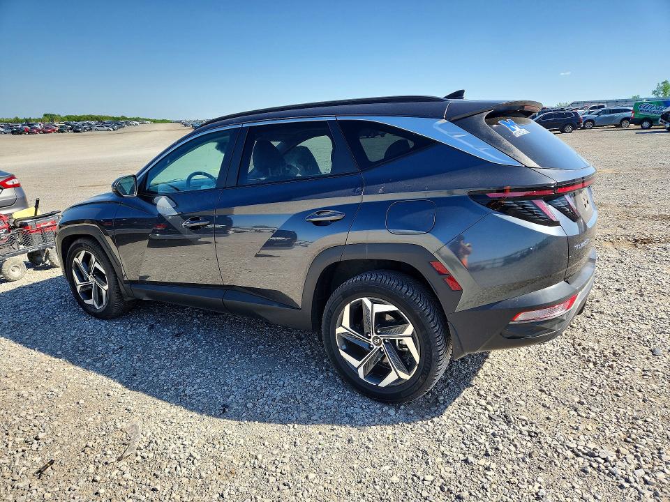 2024 Hyundai Tucson მანქანა იყიდება აუქციონზე, vin: 5NMJFCDE1RH310181, აუქციონის ნომერი: 50954906