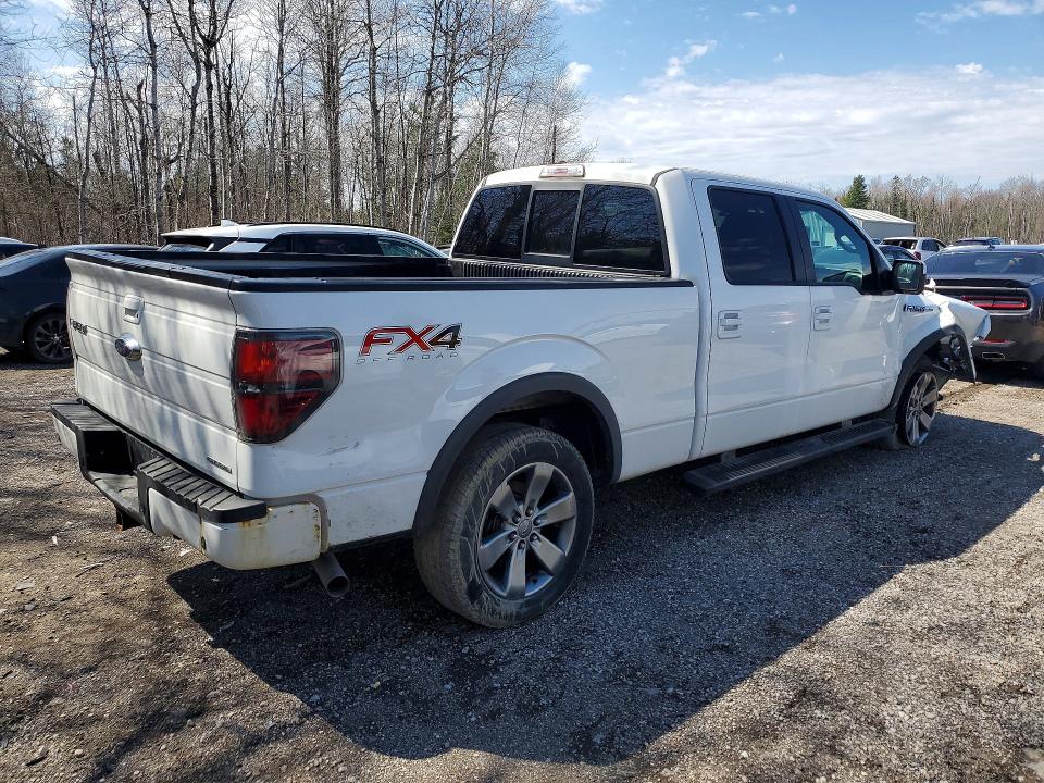 50423846 :رقم المزاد ، 1FTFW1EF8EFB78500 vin ، 2014 Ford F150 مزاد بيع