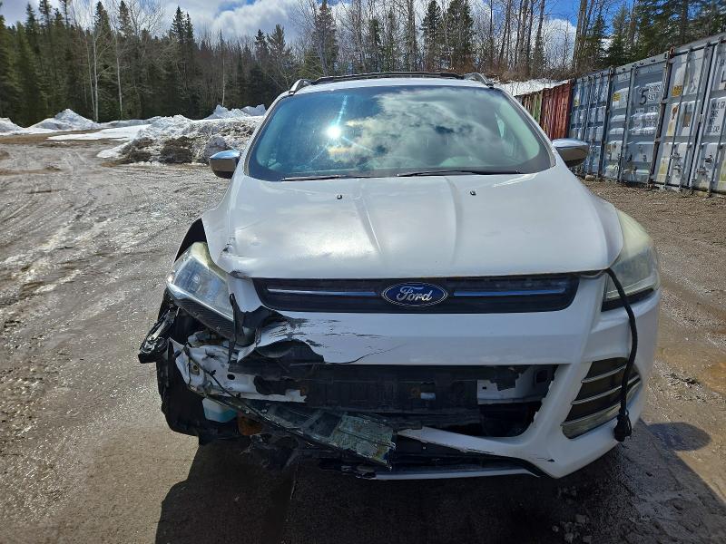 Продажа на аукционе авто 2014 Ford Escape, vin: 1FMCU9GX8EUC62529, номер лота: 49338966
