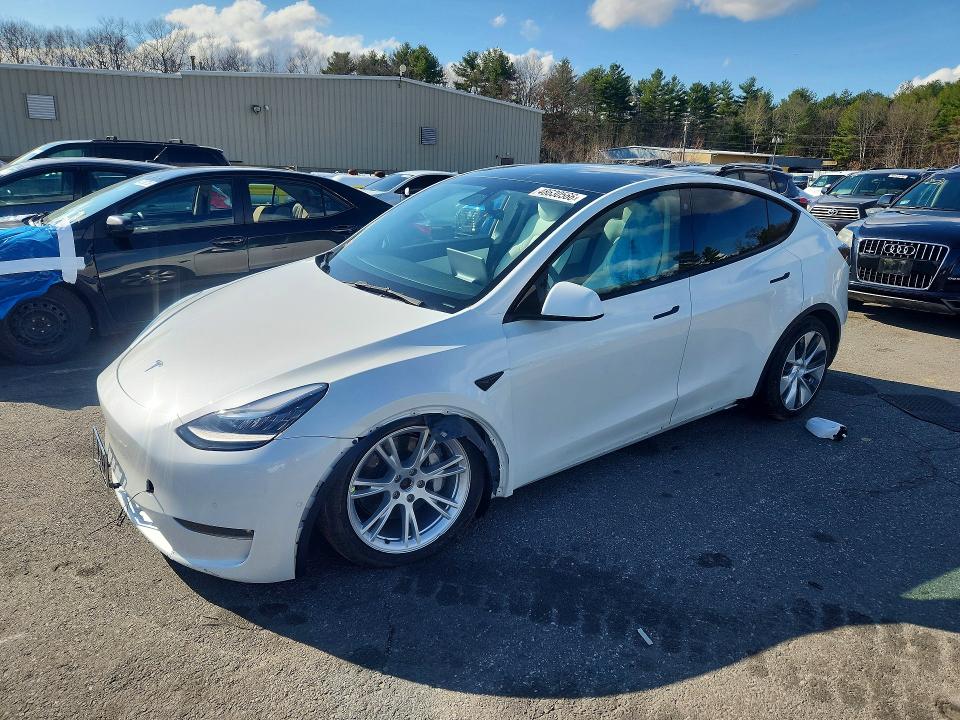 Продажа на аукционе авто 2021 Tesla Model Y, vin: 5YJYGDEE8MF195895, номер лота: 48630566