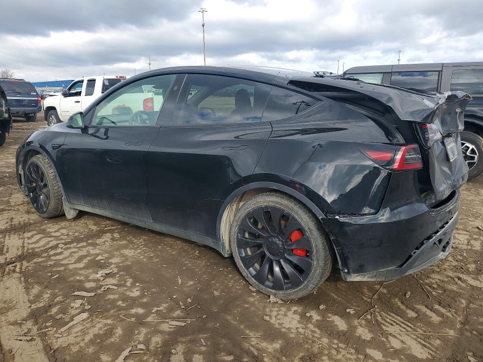 49555406 :رقم المزاد ، 7SAYGDEF8PF811465 vin ، 2023 Tesla Model Y مزاد بيع