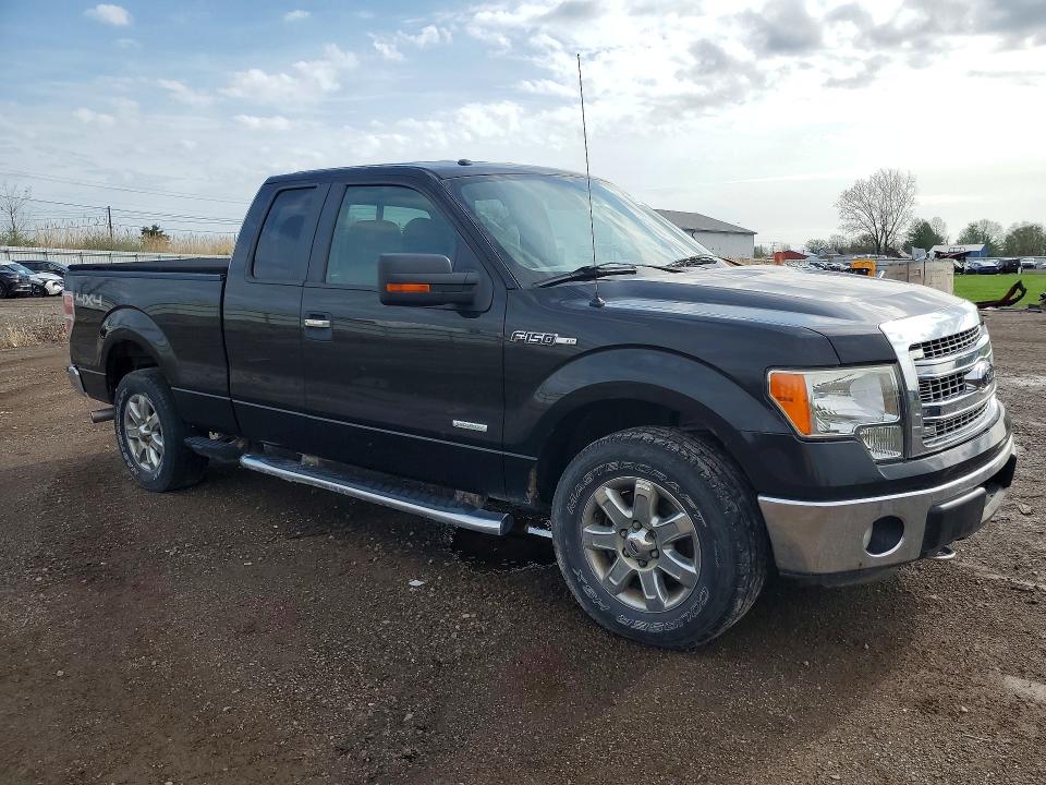 50122986 :رقم المزاد ، 1FTFX1ET6DFD99868 vin ، 2013 Ford F150 مزاد بيع