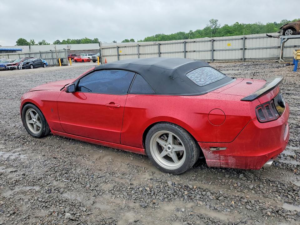 Продажа на аукционе авто 2013 Ford Mustang, vin: 1ZVBP8EM8D5225836, номер лота: 51494456
