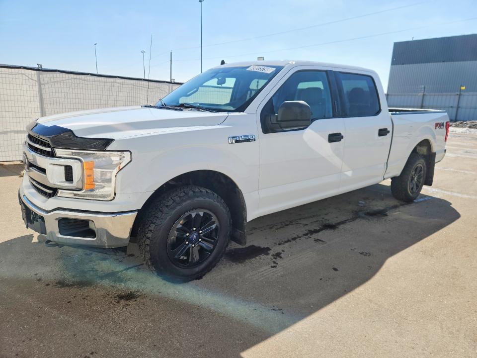49073796 :رقم المزاد ، 1FTFW1E59KFA24302 vin ، 2019 Ford F150 مزاد بيع