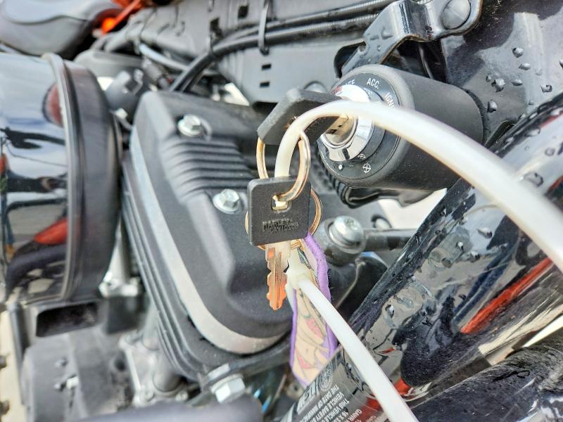 Aukcja sprzedaży 2020 Harley-davidson Xl883, vin: 1HD4LE21XLB410274, numer aukcji: 49083196