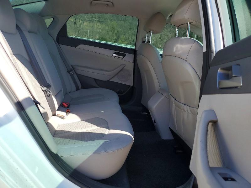 Продаж на аукціоні авто 2019 Hyundai Sonata, vin: 5NPE24AF5KH814922, номер лоту: 49096886