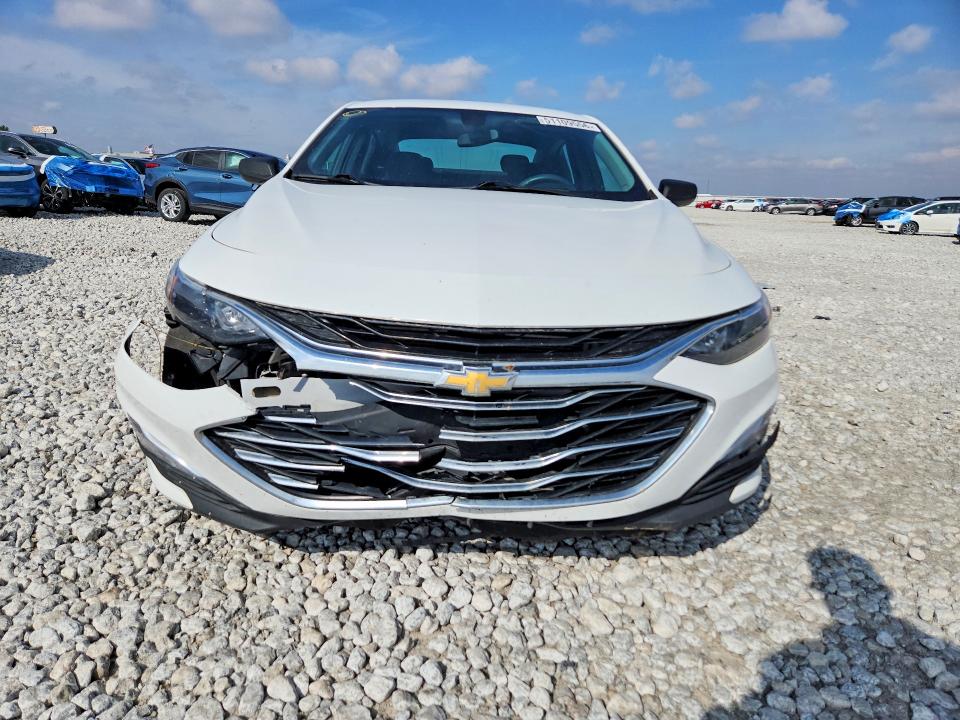 51109556 :رقم المزاد ، 1G1ZC5ST4KF195807 vin ، 2019 Chevrolet Malibu مزاد بيع