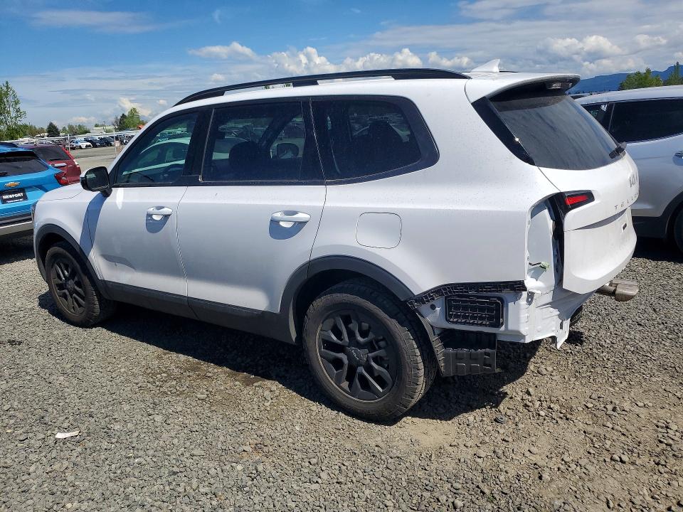 Продаж на аукціоні авто 2024 Kia Telluride, vin: 5XYP5DGC6RG533078, номер лоту: 48922246