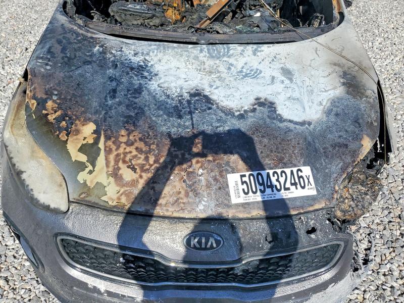 2017 Kia Sportage მანქანა იყიდება აუქციონზე, vin: KNDPN3AC1H7049348, აუქციონის ნომერი: 50943246