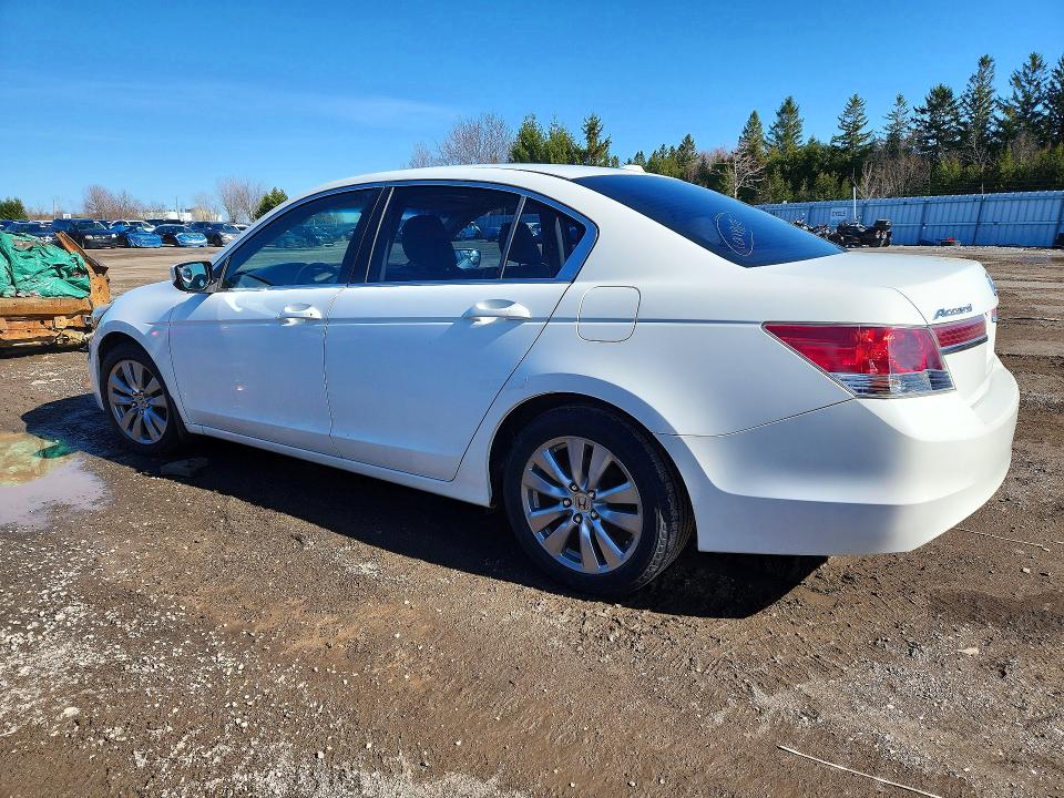 2011 Honda Accord მანქანა იყიდება აუქციონზე, vin: 1HGCP2F85BA804455, აუქციონის ნომერი: 50181696