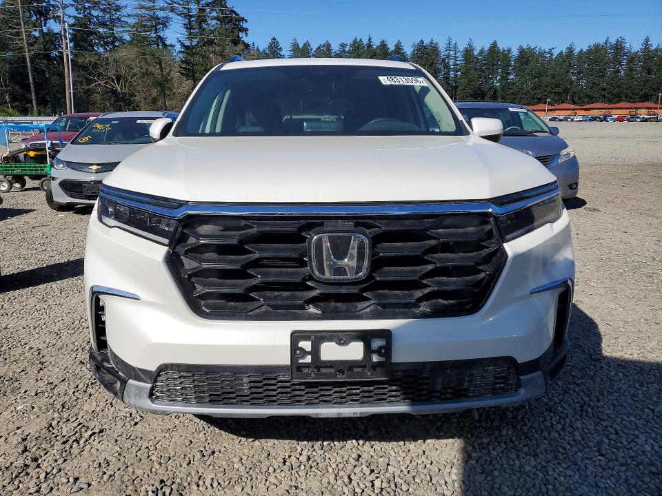 Продаж на аукціоні авто 2025 Honda Pilot, vin: 5FNYG1H74SB136805, номер лоту: 48313596