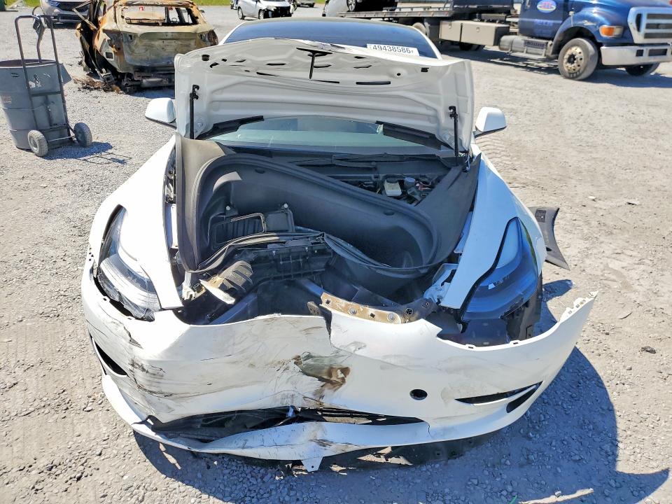 2023 Tesla Model 3 მანქანა იყიდება აუქციონზე, vin: 5YJ3E1EA0PF619957, აუქციონის ნომერი: 49438586