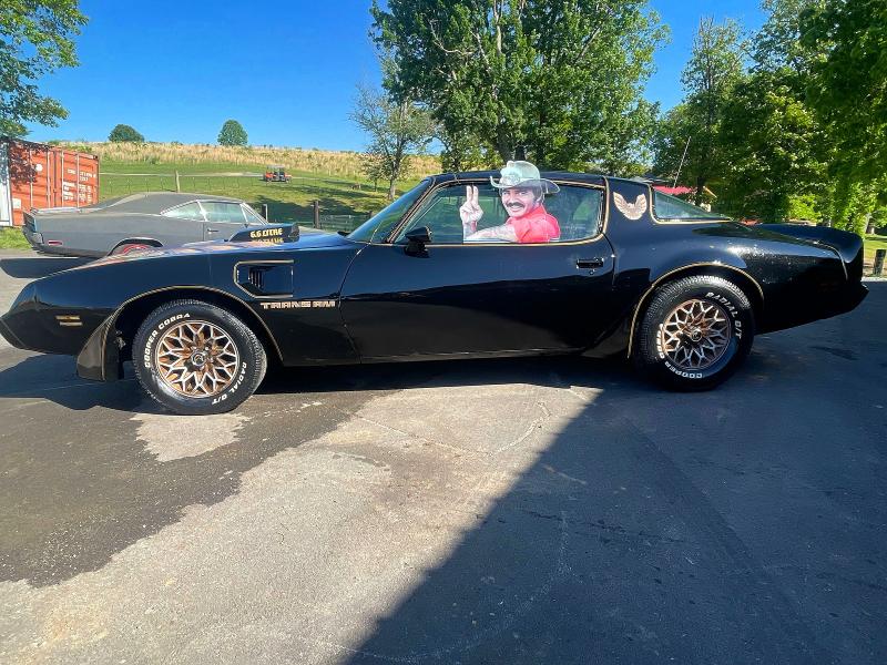 Продаж на аукціоні авто 1981 Pontiac Firebird, vin: 1G2AW87W5BL105229, номер лоту: 51724796