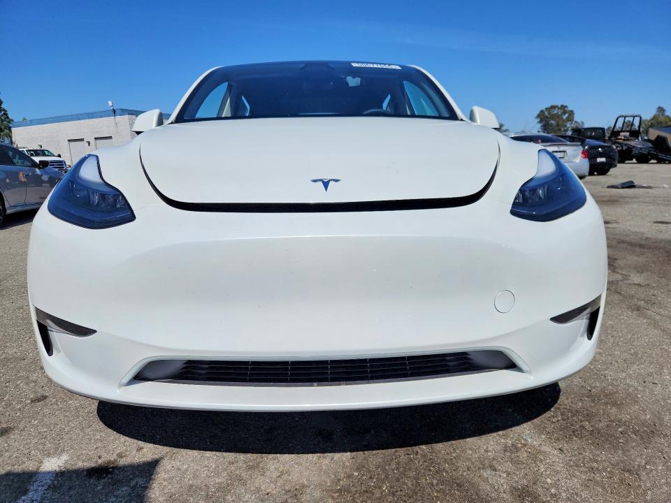 Продаж на аукціоні авто 2025 Tesla Model Y, vin: 7SAYGDED2SF248453, номер лоту: 50677666