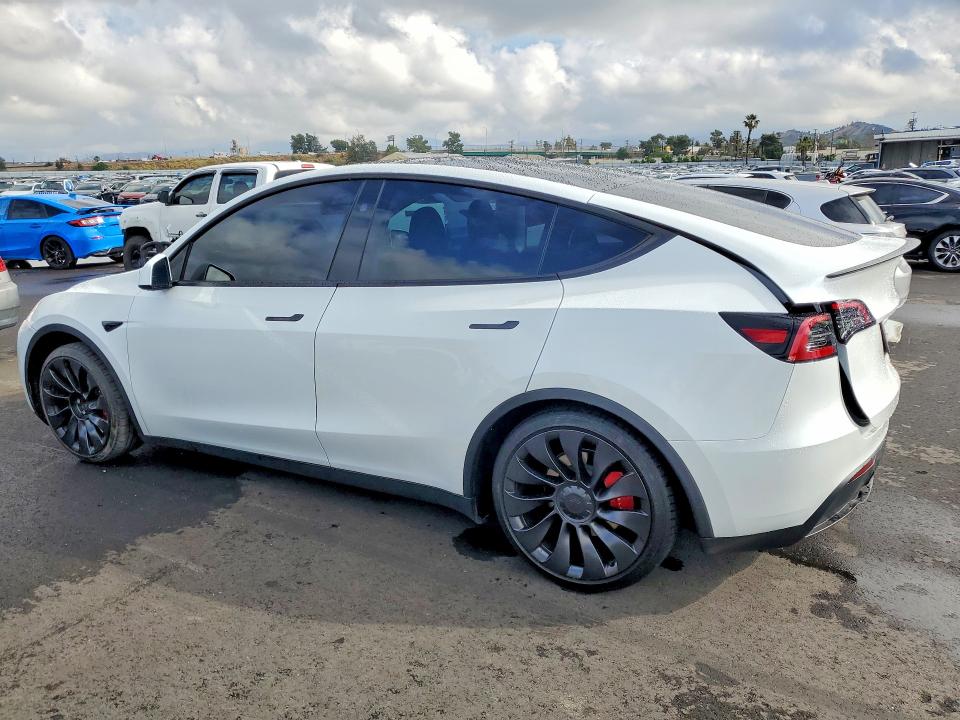Продаж на аукціоні авто 2024 Tesla Model Y, vin: 7SAYGDEF3RF056387, номер лоту: 48290186
