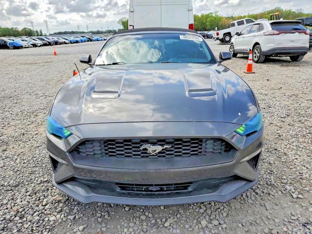 48922586 :رقم المزاد ، 1FATP8UHXK5149132 vin ، 2019 Ford Mustang مزاد بيع