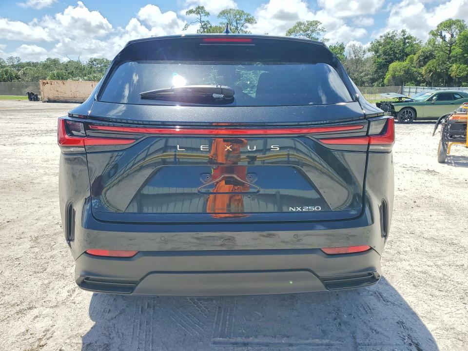 2025 Lexus Nx მანქანა იყიდება აუქციონზე, vin: 2T2GDCAZ2SC022880, აუქციონის ნომერი: 51602696