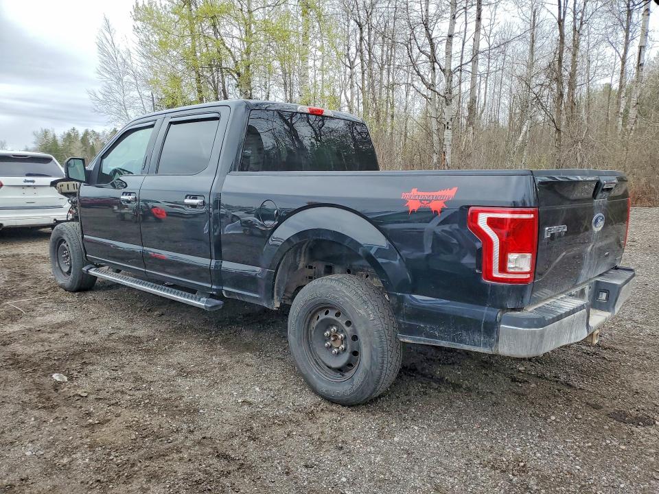 51503116 :رقم المزاد ، 1FTFW1EF3GFC91841 vin ، 2016 Ford F150 مزاد بيع