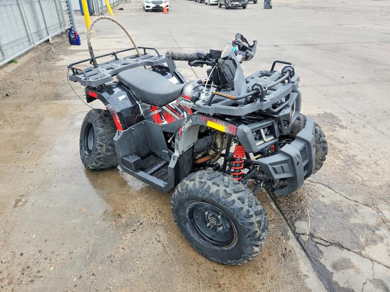 Продажа на аукционе авто 2023 Taotao At, vin: L9NACMER9P1210368, номер лота: 48310626