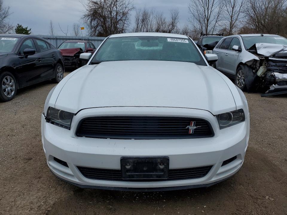 Продаж на аукціоні авто 2014 Ford Mustang 2dr, vin: 1ZVBP8AM8E5323384, номер лоту: 48687356