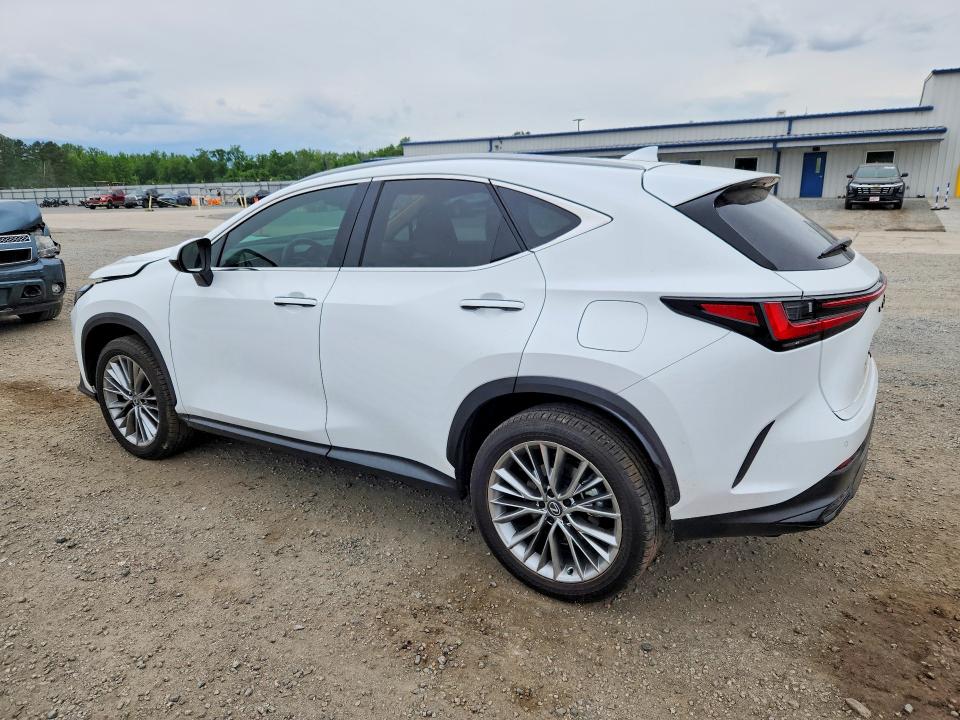 51675296 :رقم المزاد ، 2T2GKCEZ7TC058646 vin ، 2026 Lexus Nx 350h مزاد بيع