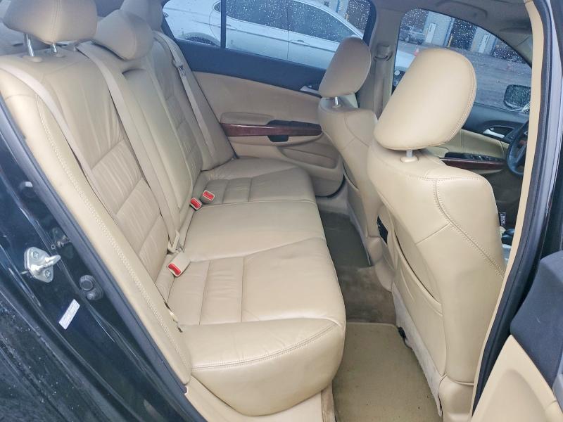50959496 :رقم المزاد ، 1HGCP3F83BA026064 vin ، 2011 Honda Accord مزاد بيع