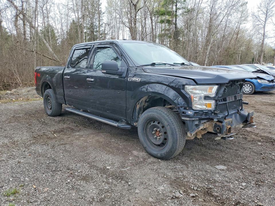 51503116 :رقم المزاد ، 1FTFW1EF3GFC91841 vin ، 2016 Ford F150 مزاد بيع
