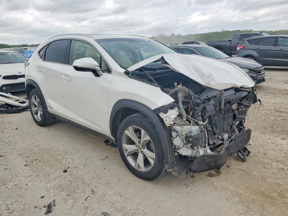 51080036 :رقم المزاد ، JTJBJRBZ8H2069893 vin ، 2017 Lexus Nx مزاد بيع