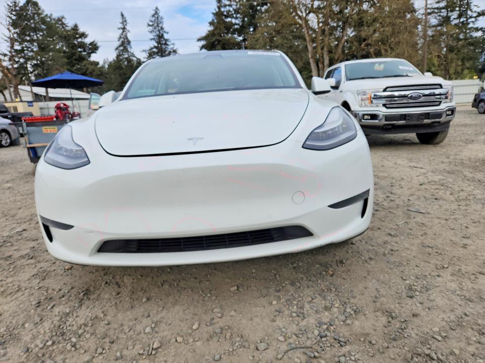 Aukcja sprzedaży 2020 Tesla Model Y, vin: 5YJYGDEE9LF052985, numer aukcji: 50635946