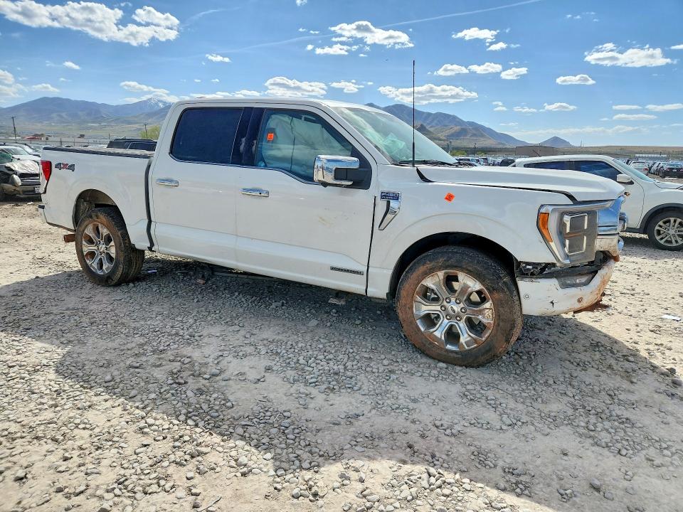 Продажа на аукционе авто 2023 Ford F150, vin: 1FTFW1ED0PFB55343, номер лота: 50450776