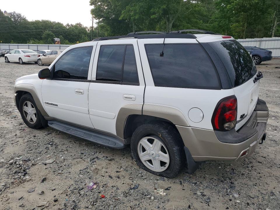 2002 Chevrolet Trailblazer მანქანა იყიდება აუქციონზე, vin: 1GNDS13S922411863, აუქციონის ნომერი: 51674276