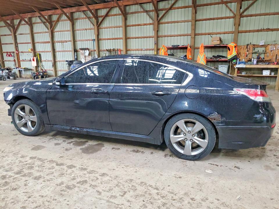 48259846 :رقم المزاد ، 19UUA9F59DA800609 vin ، 2013 Acura Tl مزاد بيع
