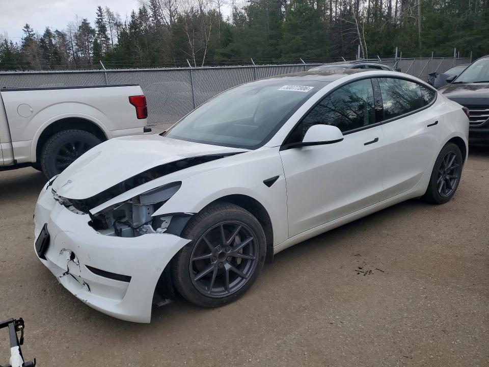 2021 Tesla Model 3 მანქანა იყიდება აუქციონზე, vin: 5YJ3E1EA2MF014320, აუქციონის ნომერი: 50077806