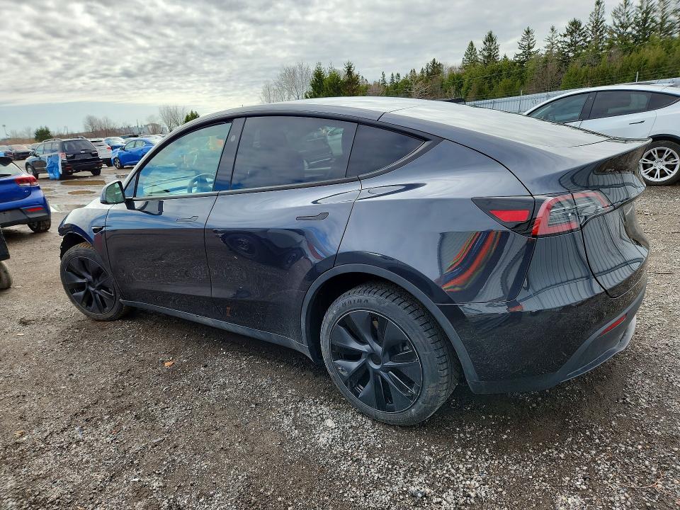Продаж на аукціоні авто 2025 Tesla Model Y, vin: 7SAYGDED4SF283530, номер лоту: 49887336