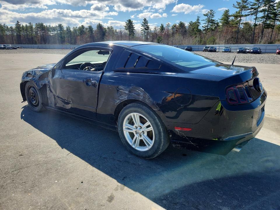 50415486 :رقم المزاد ، 1ZVBP8AM0E5294026 vin ، 2014 Ford Mustang مزاد بيع