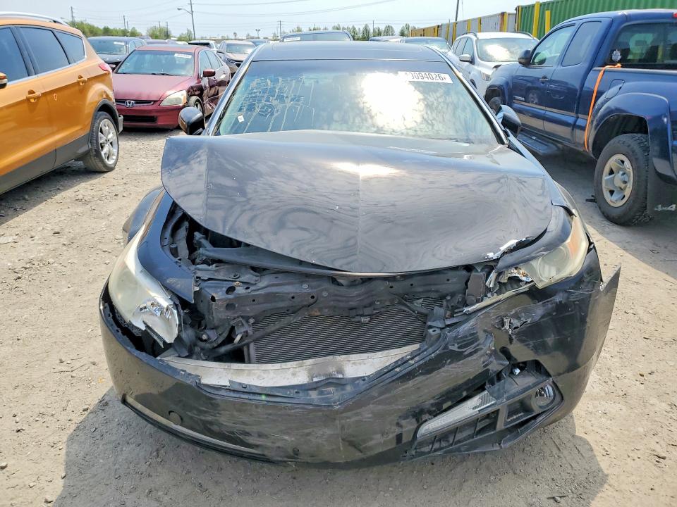 Продаж на аукціоні авто 2009 Acura Tl, vin: 19UUA86249A003367, номер лоту: 49094026