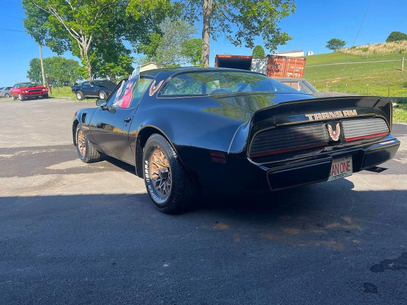 Продаж на аукціоні авто 1981 Pontiac Firebird, vin: 1G2AW87W5BL105229, номер лоту: 51724796