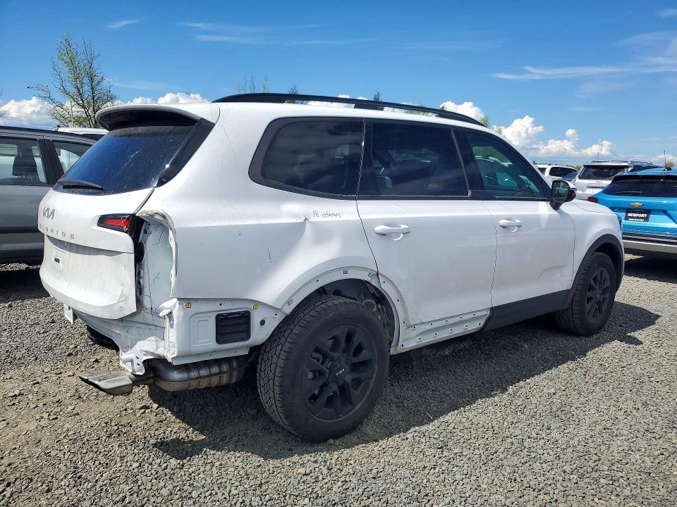 Продаж на аукціоні авто 2024 Kia Telluride, vin: 5XYP5DGC6RG533078, номер лоту: 48922246