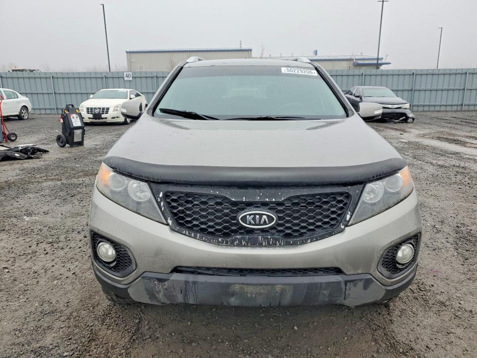50229206 :رقم المزاد ، 5XYKT3A67DG384170 vin ، 2013 Kia Sorento مزاد بيع