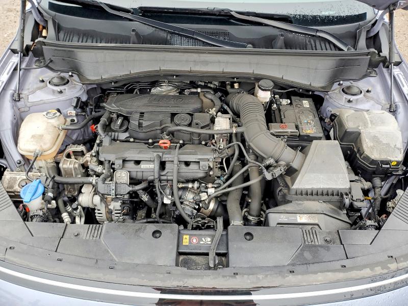 50134256 :رقم المزاد ، KM8HACA34RU177792 vin ، 2024 Hyundai Kona مزاد بيع