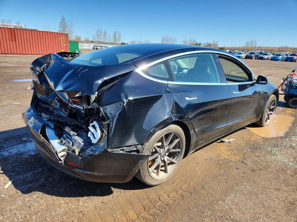 Продаж на аукціоні авто 2020 Tesla Model 3, vin: 5YJ3E1EA9LF802168, номер лоту: 50244966