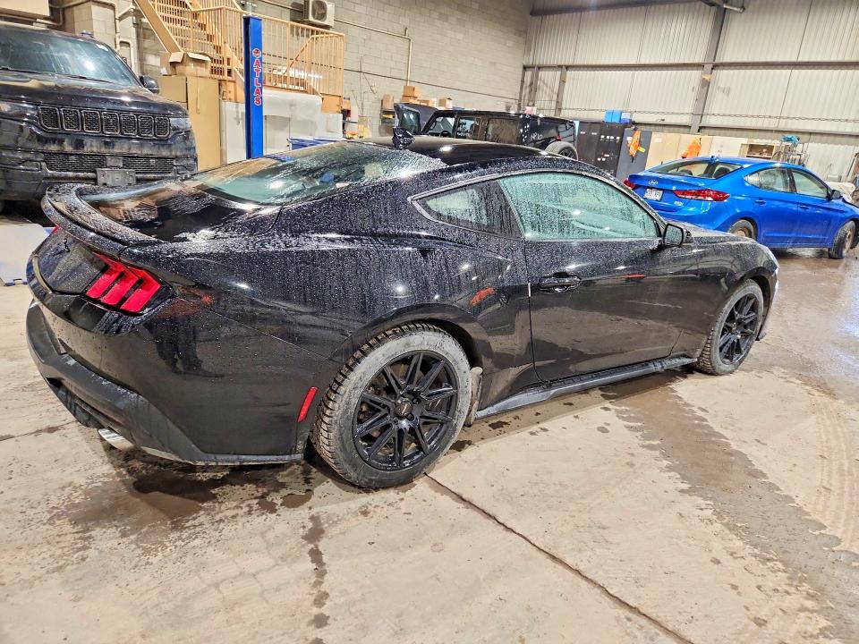 Продажа на аукционе авто 2024 Ford Mustang, vin: 1FA6P8TH5R5104074, номер лота: 49307686