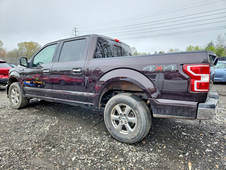 2019 Ford F150 მანქანა იყიდება აუქციონზე, vin: 1FTEW1EP4KFD31034, აუქციონის ნომერი: 48633666