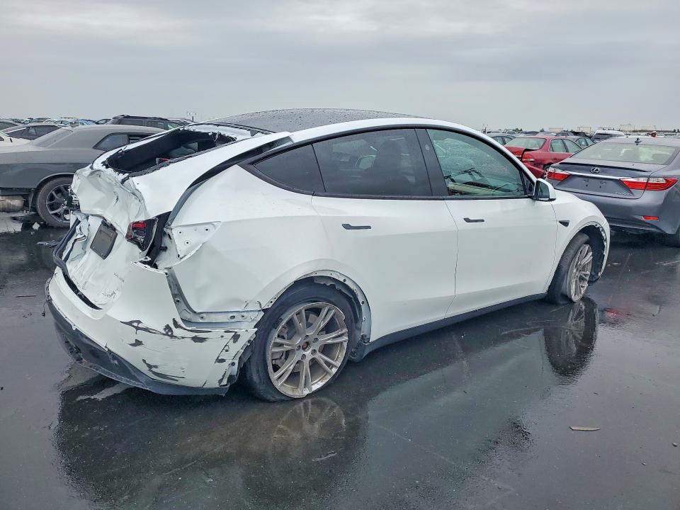Продаж на аукціоні авто 2023 Tesla Model Y, vin: 7SAYGDEE9PF839377, номер лоту: 50520876