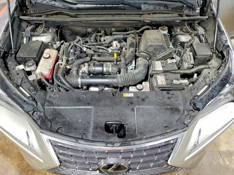 2021 Lexus Nx 300 მანქანა იყიდება აუქციონზე, vin: JTJDARDZXM2248212, აუქციონის ნომერი: 51447666